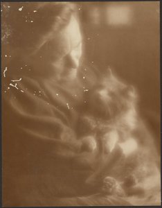Das Haustier Angora von Louis Fleckenstein