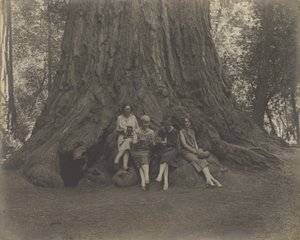 Frauen mit Kameras am Fuße eines Baumes von Louis Fleckenstein