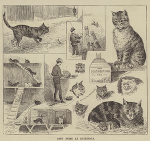 Katzenheim in Battersea von Louis Wain