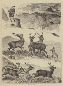 Highland-Sport von Louis Wain