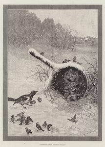 Besitz ist neun Zehntel des Gesetzes von Louis Wain