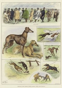 Skizzen beim Waterloo Coursing Meeting