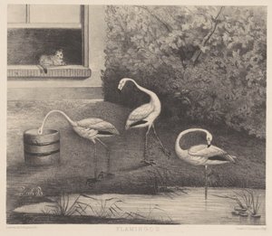 Drei Flamingos und eine Katze von Louise Marie Françoise van der Beek