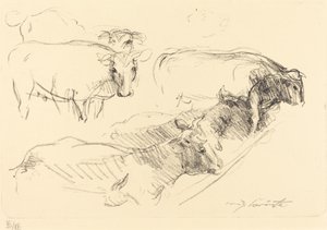 Kühe, 1910 von Lovis Corinth