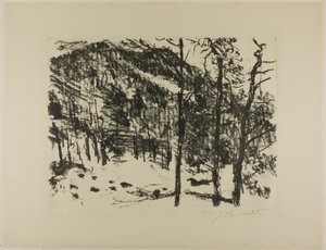 Das Tal, aus Früher Frühling in den Bergen