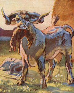 Illustration für Geschichten von Guy von Warwick