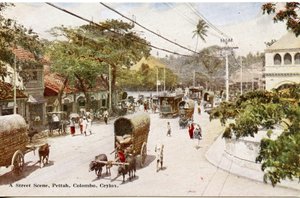 Straßenszene, Pettah, Colombo, Ceylon, ca. 1900-20 (handkolorierte Fotografie)