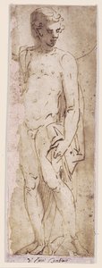 Jugendlicher mit Mantel, stehend in einer Nische von Luca Cambiaso