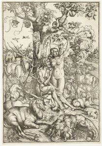 Der Sündenfall von Lucas Cranach the Elder