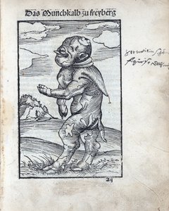 Mönchskalb von Freiberg, von Lucas Cranach dem Älteren (1472-1553) von Lucas the Elder Cranach