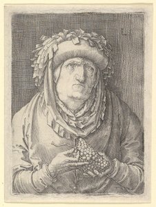 Alte Frau mit Trauben, ca. 1523 von Lucas van Leyden