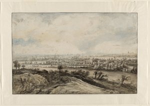 Ein Panoramaflusslandschaft mit Kopfweiden