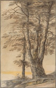 Studie von Bäumen von Lucas van Uden