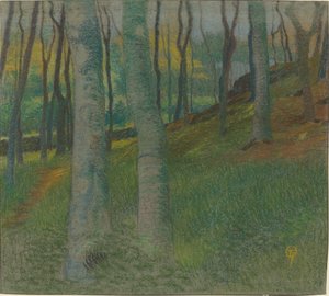 Waldlandschaft