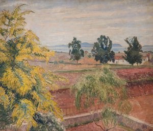 Mimosa Lavendou von Lucien Pissarro