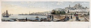 Panoramablick auf die Stadt Genua (Lithographie)