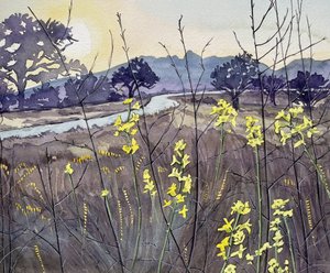 Goldene Stunde Blüten von Luisa Millicent