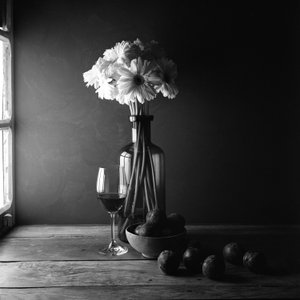 Dunkles Stillleben Blumen
