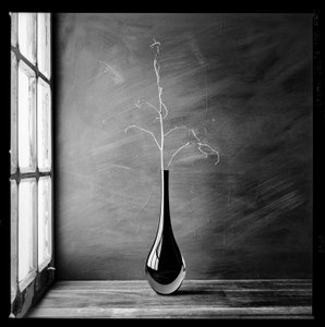 Minimalistische Zweigvase von Luiz Laercio