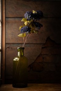 Stimmungsvolle Blumenflasche von Luiz Laercio