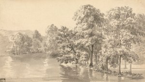 Bäume an einem See