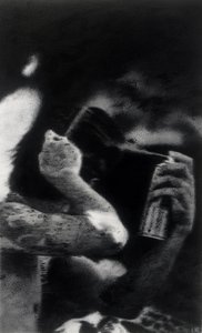 So bleiben die Eitlen, um 2015 von Luke Waller