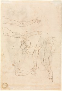 Skizzen von fünf Armen und einem Kopf verso, Mitte 1500er von Luzio Romano