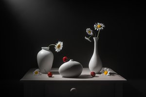  von Lydia Jacobs