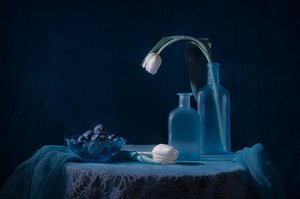Elegantes Blaues Stillleben