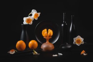  von Lydia Jacobs