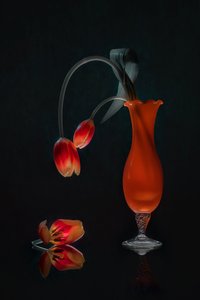  von Lydia Jacobs