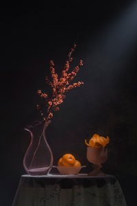 Orangen und Beeren Stillleben