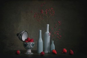  von Lydia Jacobs