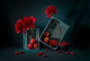 Rote Pfingstrosen und Kirschen