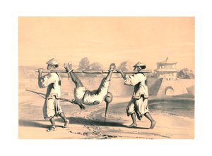 Skizze von der Mauer am Morgen nach dem großen Angriff, China von M and N Hanhart