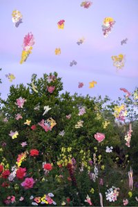 Abstrahierte Blumen von Madeleine Gross