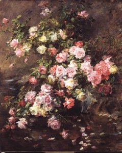 Rosen