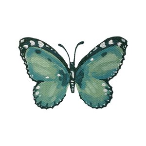 Eleganter türkisfarbener Schmetterling von Madison Phipps