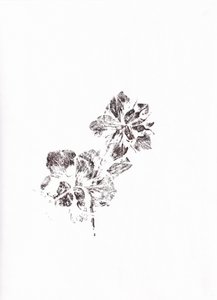 Abstrakte Blumenabdrücke