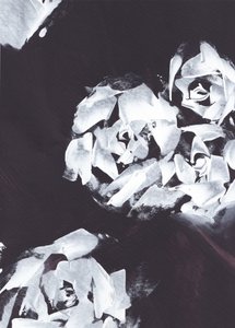 Abstrakte Weiße Blume
