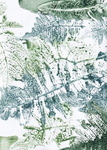 Botanische Farnimpressionen von Maira Ribena
