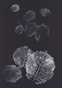 Botanische Blattdrucke