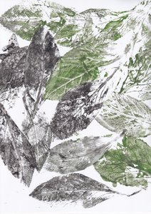 Botanische Blattdrucke