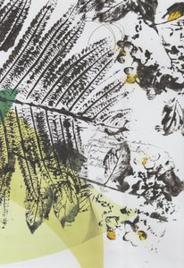 Botanische Schriftebenen von Maira Ribena