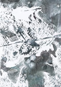 Ätherisches Winterlaub