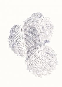 Minimalistische Blattstrukturen