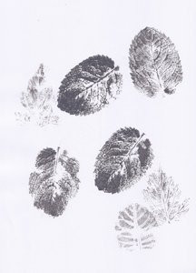 Minzblatt-Abdrücke von Maira Ribena