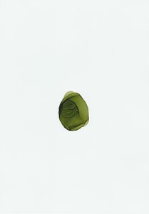 Organische grüne Flüssigkeit
