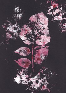 Rosa botanischer Eindruck
