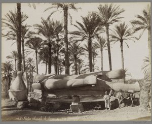 Liegende Statue von Ramses II in Memphis, im Vordergrund ein Junge mit einem Esel